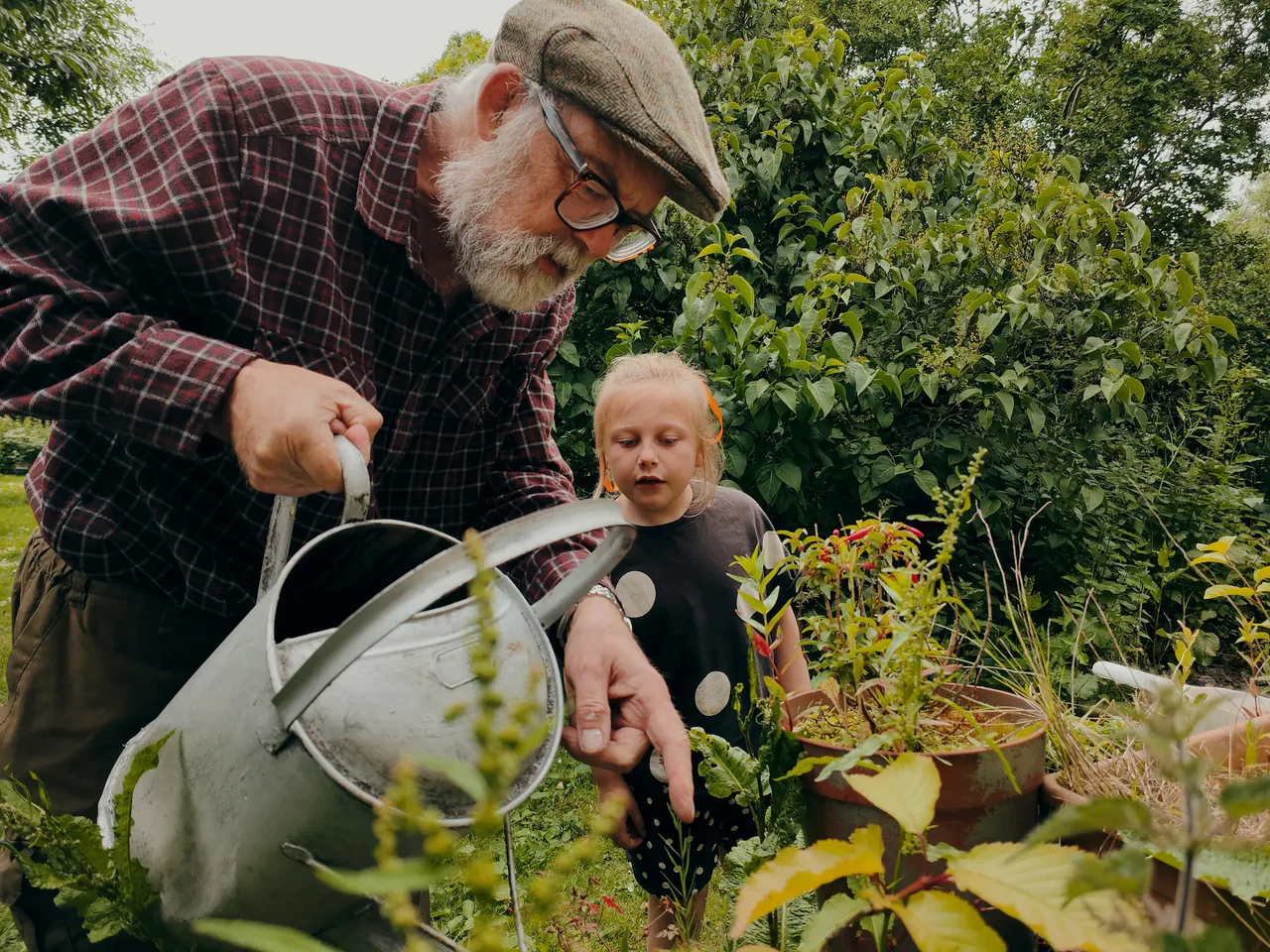 Kweek de tuin van je dromen