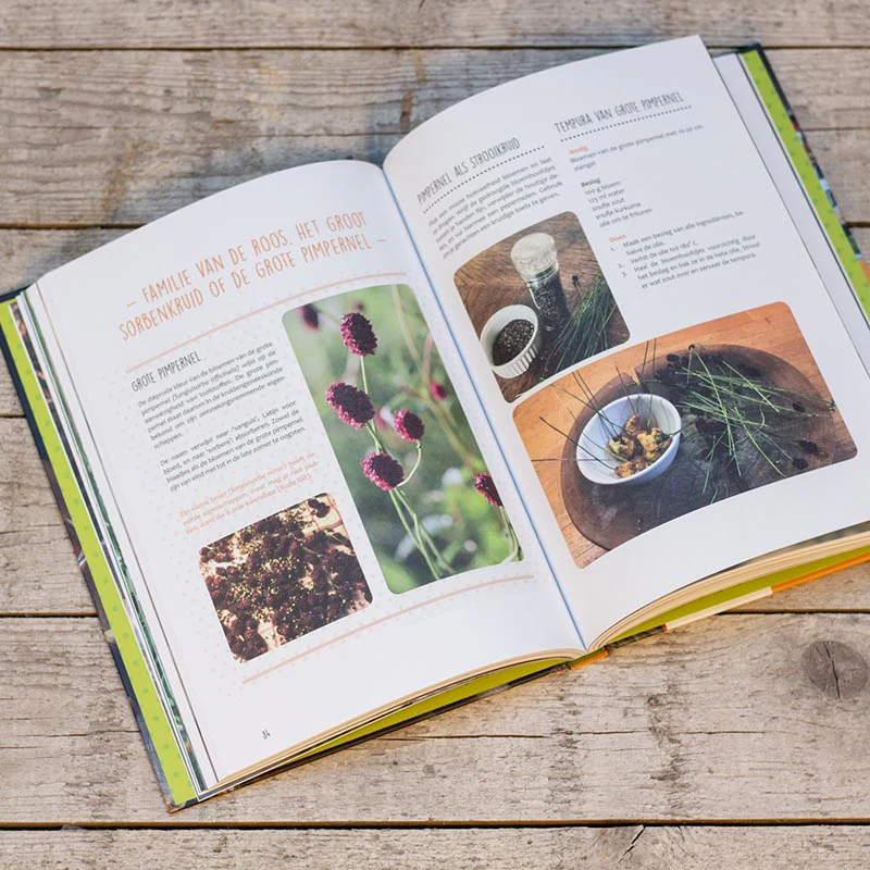 Miniatuur 2