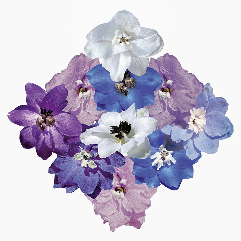 Miniatuur 1