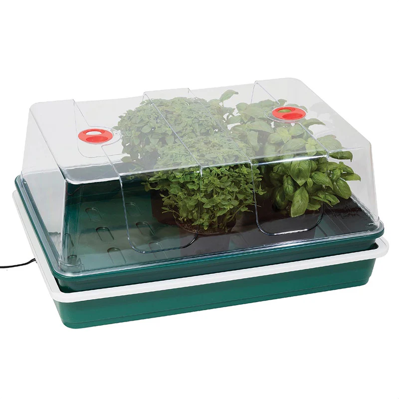 Miniatuur 2