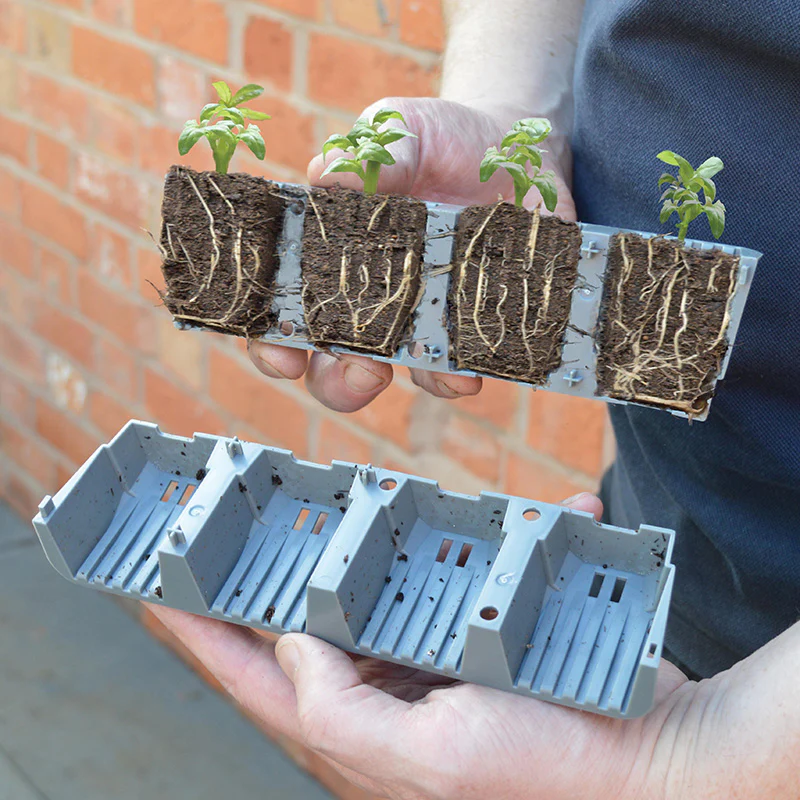 Miniatuur 2