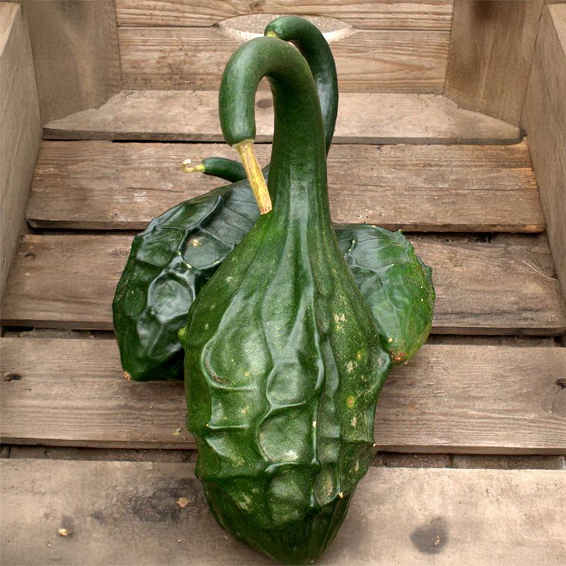Miniatuur 2