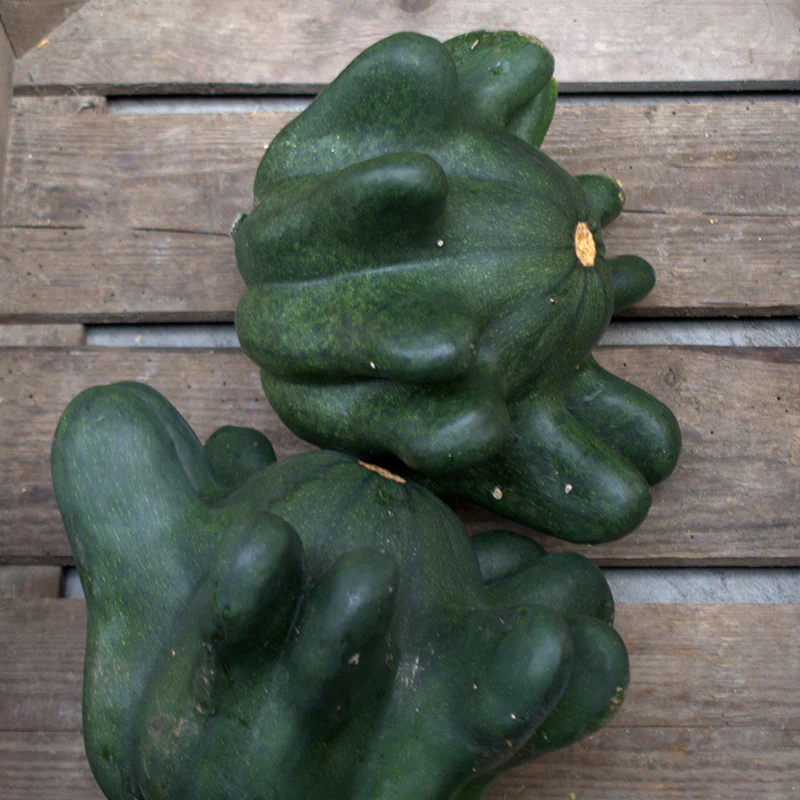Miniatuur 1