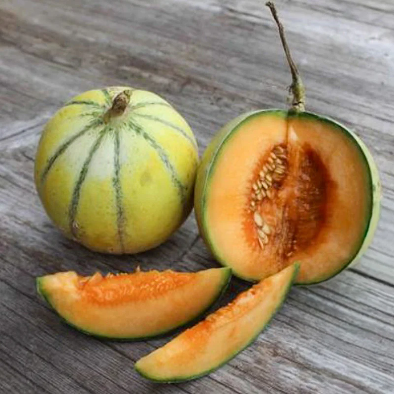 Miniatuur 1