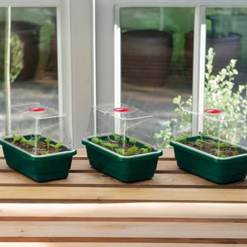 Miniatuur 2