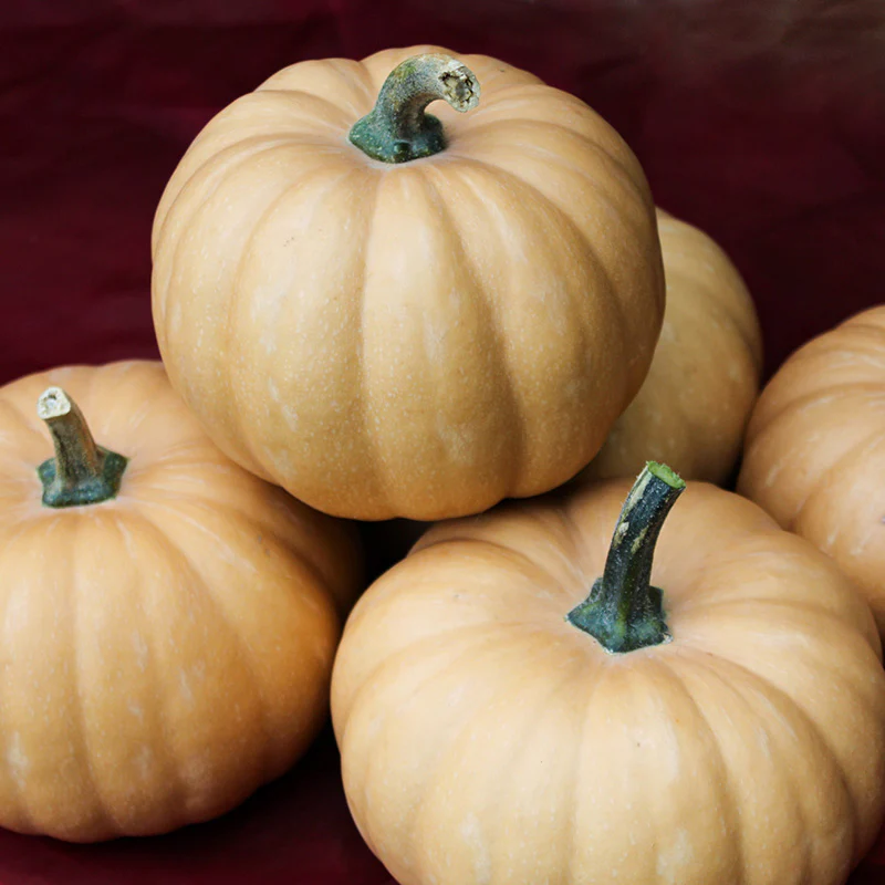 Productafbeelding 1