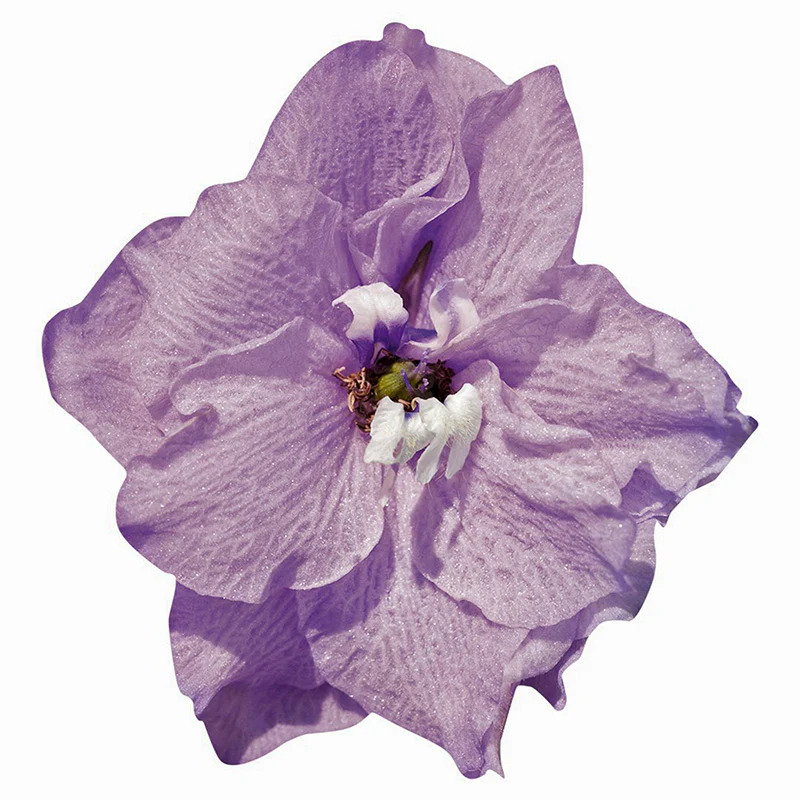 Productafbeelding 3